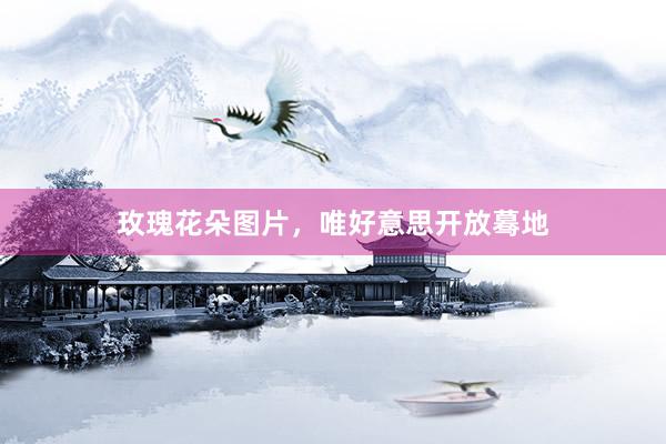 玫瑰花朵图片，唯好意思开放蓦地
